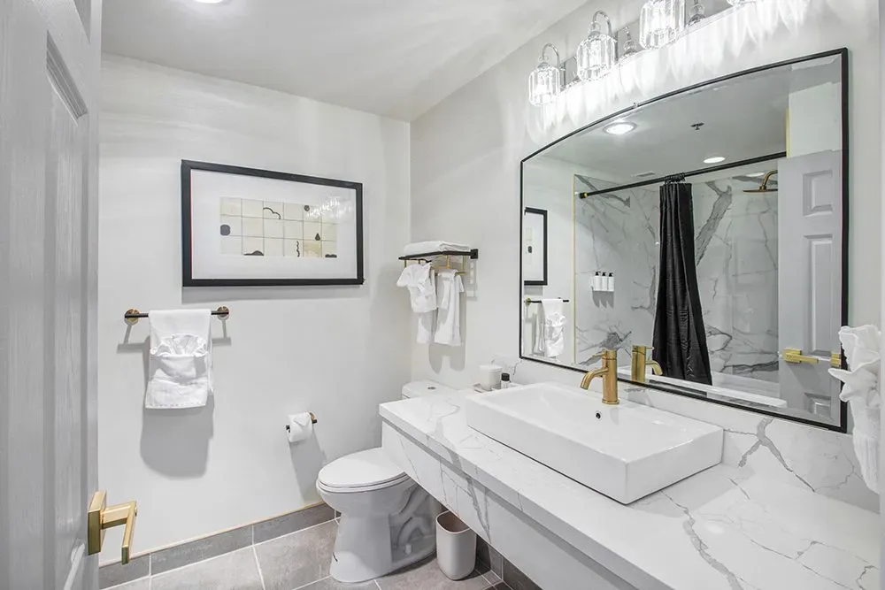 King Studio Suite, view 4